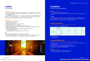 高端企業(yè)畫冊(cè) 精品 集團(tuán) 公司圖片